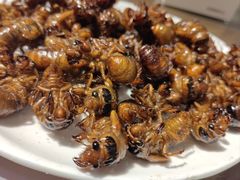-向民炒鸡老店(金泰华府店)