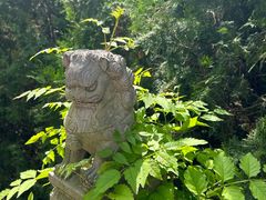 -青岛崂山太清宫