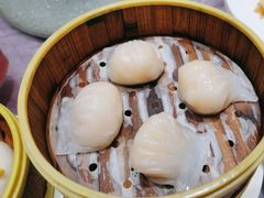 -宝燕壹号(徐汇店)