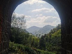 -仙霞关景区