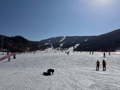 -中旅松花湖滑雪场