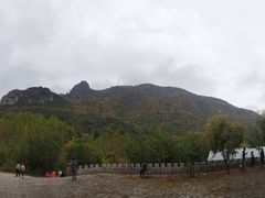 -云岫谷游猎自然风景区