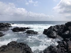 -涉地可支