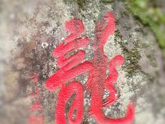 -藏龙百瀑风景区