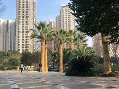 -苏州河梦清园环保主题公园