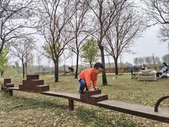 -黄河富景生态世界