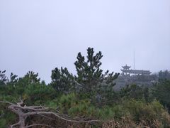 -玉苍山国家森林公园