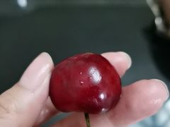 -老鬼兔头