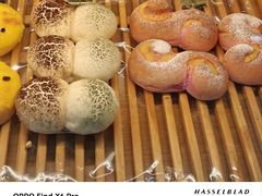 -复旦张江校区食堂