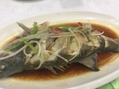 清蒸鲈鱼-北纬39度天津宴(黑牛城道店)