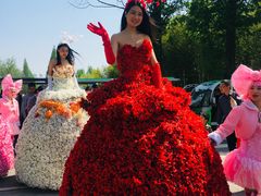 -黄海国家森林公园