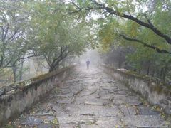 iphone_upload_pic-阳台山自然风景区