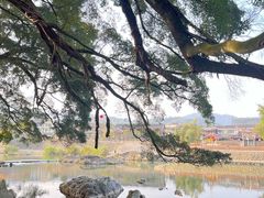 -云水谣景区