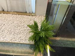 -铂诗玥医美