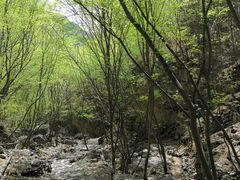 -十渡东湖港风景区