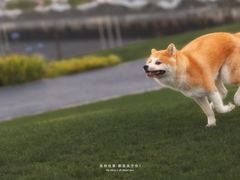 -天府广场