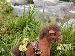 -新疆那拉提国家旅游度假区