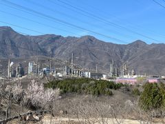 -白水寺森林公园