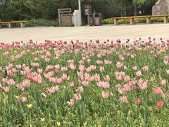 -长春公园(普阳街道)