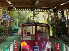 -神户市立六甲山牧场