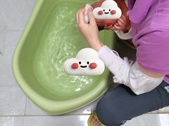 -田螺阿姨自营月嫂·育儿嫂(高新店)