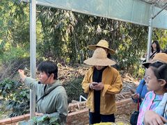 -Torch Coffee 炬点咖啡