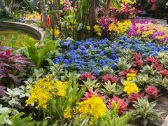 -北京植物园-展览温室