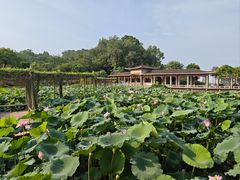 -广州莲花山旅游区