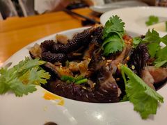 黑鸡抓-明仕那里稻里畈堂