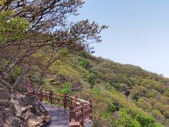 -海上云台山景区