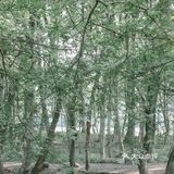 黄山·西溪南古村落 | 闯入童话中的绿野仙踪