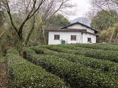 -法云安缦酒店
