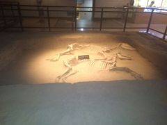 -洛阳周王城天子驾六博物馆