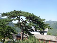 -妙峰山风景名胜区