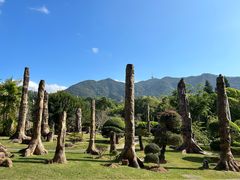-深圳仙湖植物园