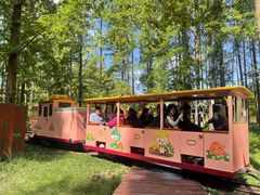 -黄海国家森林公园