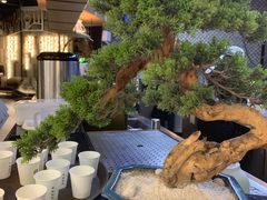 -湊湊火锅·茶憩(东城万达店)