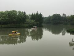 -东园小馆·早茶·淮扬小炒(宋夹城店)