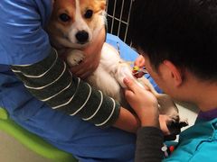 -北京恒爱动物医院(清景园分院)