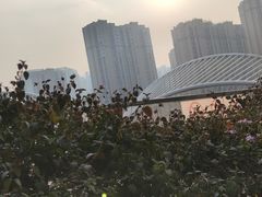 -白鹭湾湿地公园