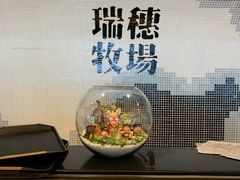 -瑞穗牧场