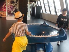 -墨尔本之星 观景摩天轮