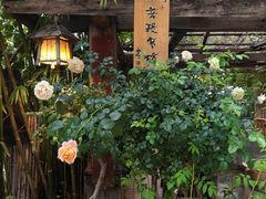 -菩提书坊(侨福大厦店)