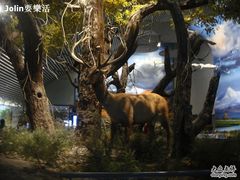 -中国湿地博物馆