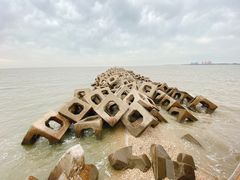 -东疆建设开发纪念公园