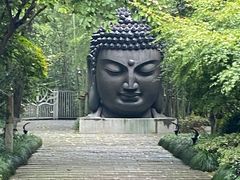 -杭州植物园