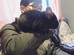 -藦茜花园宠物主题亲子互动体验馆(国顺东路店)