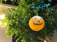 -Husky Go! 哈士奇体验馆·宠物咖啡厅狗咖