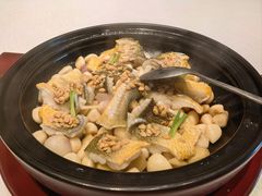 普宁豆酱焗大黄鱼-粤界(望京金辉店)