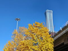 -中央广播电视总台(光华路办公区)